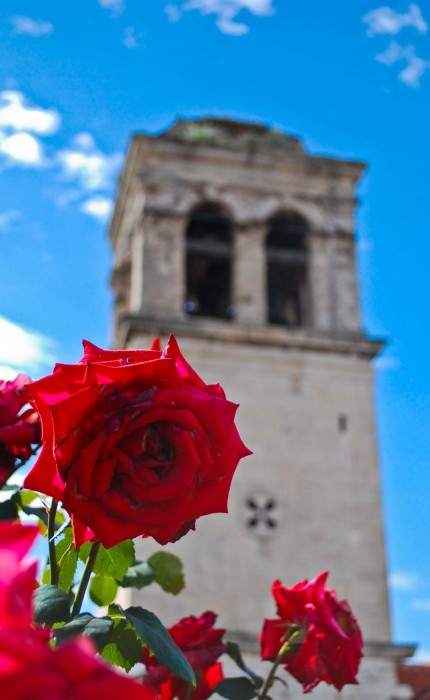 Sibenik, giardino di San Lorenzo (foto di Patrick Colgan)