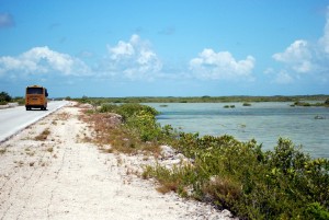 Spiagge cubane: la strada per Cayo Las Brujas