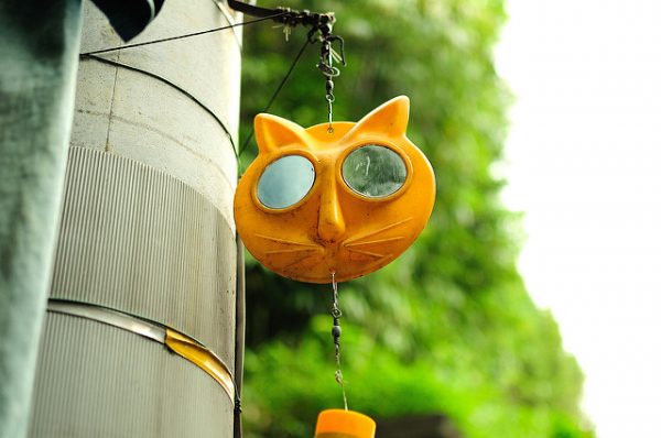 Yanaka Ginza, gatti ovunque 