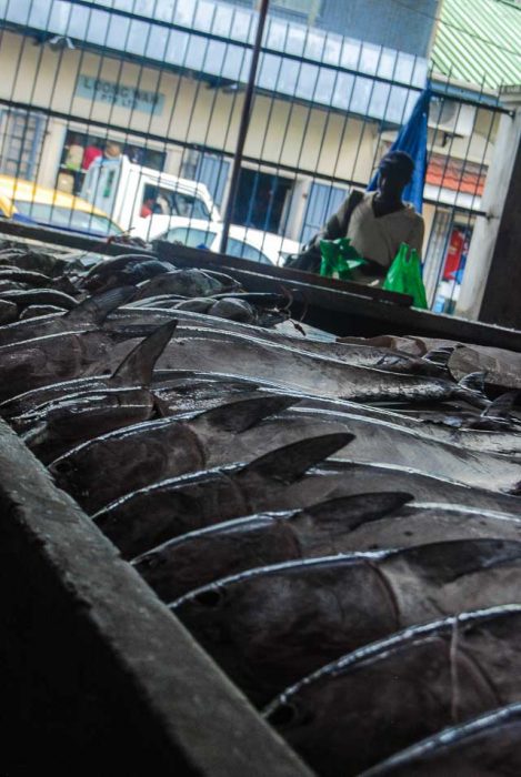 Victoria, mercato del pesce